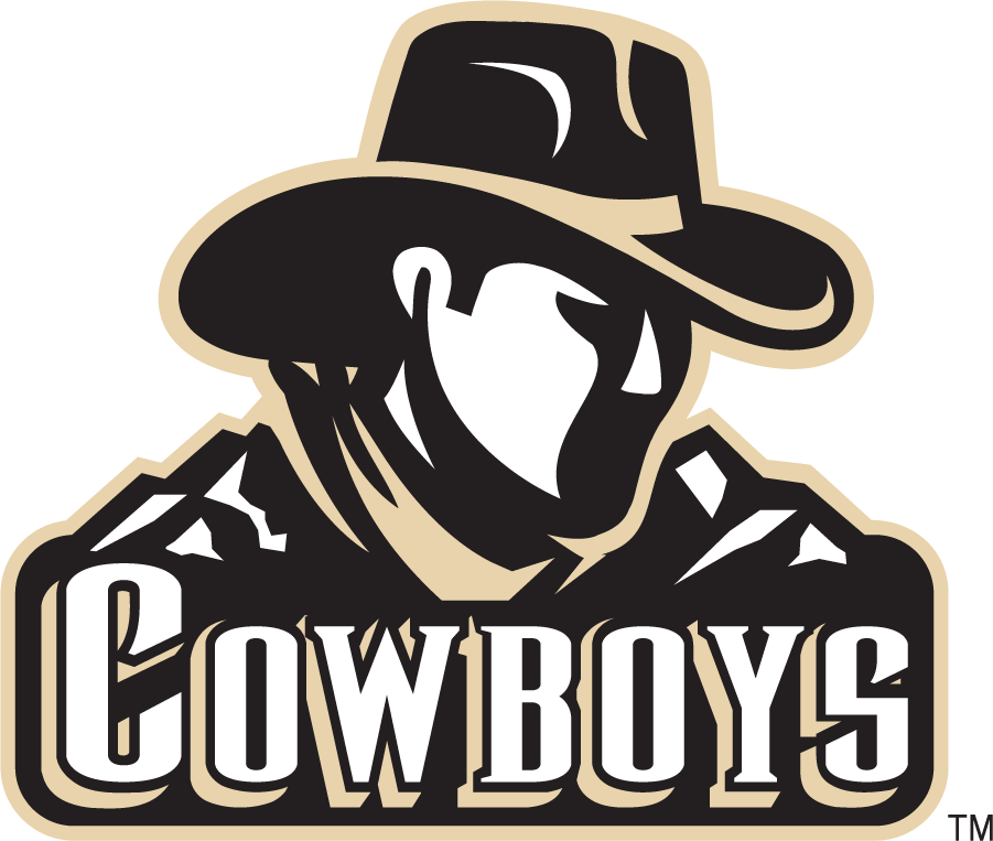 Wyoming Cowboys 2000-2007 Wordmark Logo v2 diy iron on heat transfer